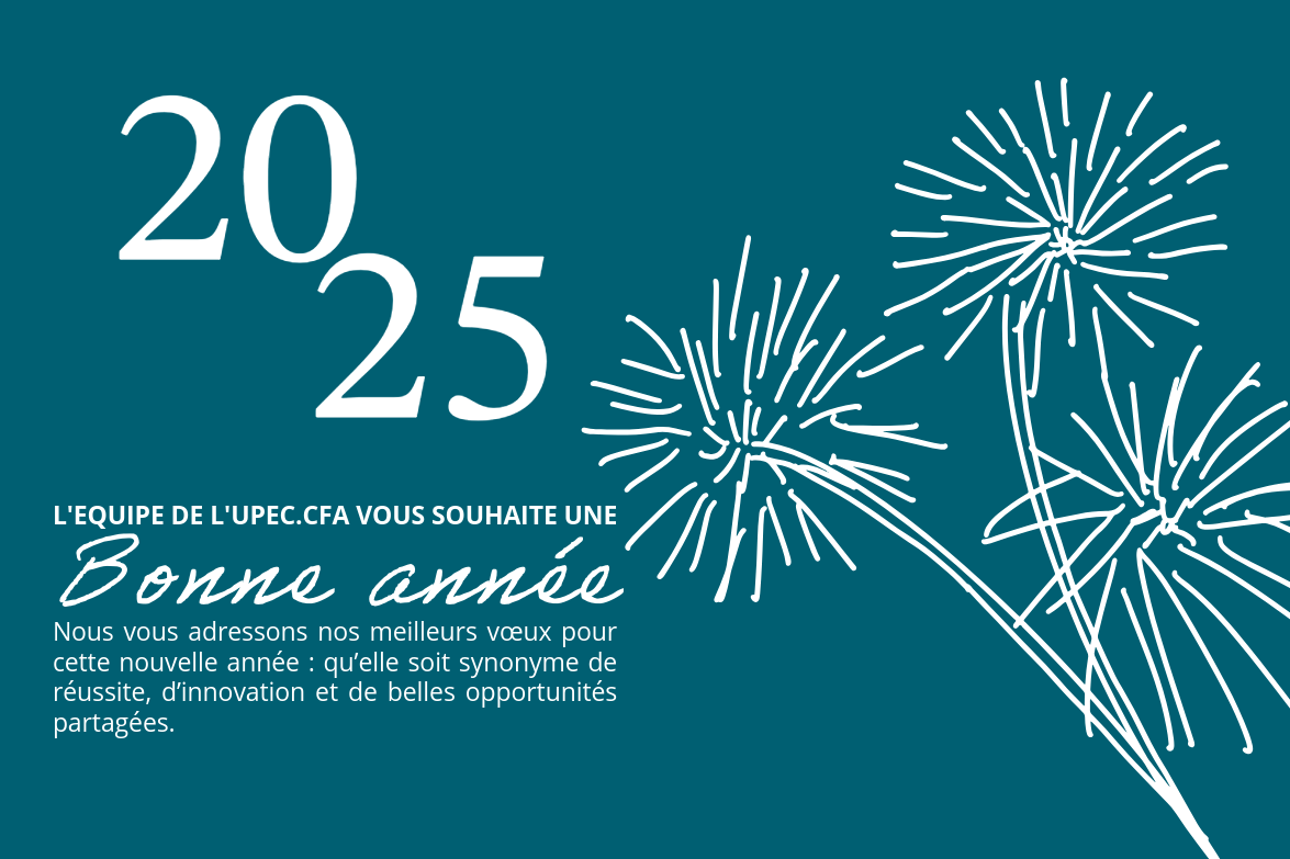 Bonnes fêtes et meilleurs vœux pour 2025